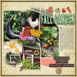 Fall Garden