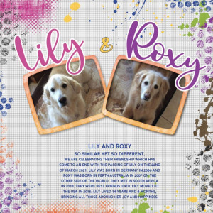 Roxy&Lily