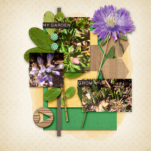 Welcome Spring