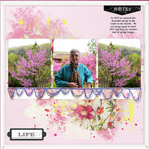Springtime_BigCedar_flowersgal_webjpg