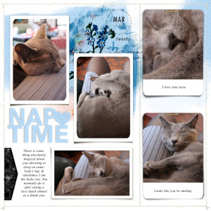 210319_cat Nap