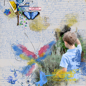2013--Connor-Chasing-Butterflies