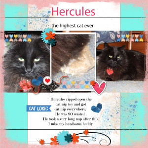 Prd_21_03_karen_temp_challenge Hercules The Highest Cat