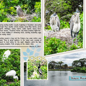 Venice Rookery