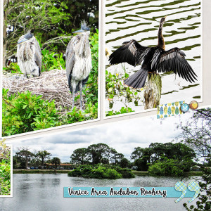 Venice Rookery_right