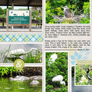 Venice Rookery_left