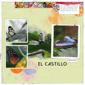 El Castillo Butterfly Farm