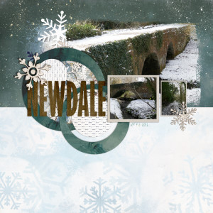 Snowy Newdale