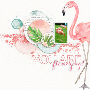 You Are Flamazing!