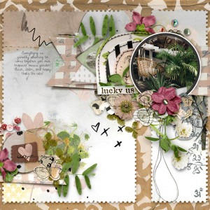 Tnp_BloominLovelyV1_PD1 TRACY