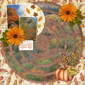 Amazing Autumn Days