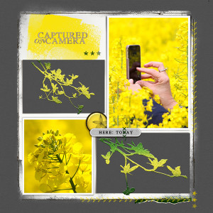 Yellow
