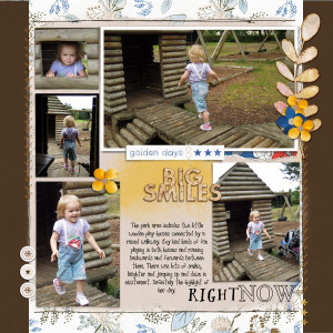Weston Park Play Houses