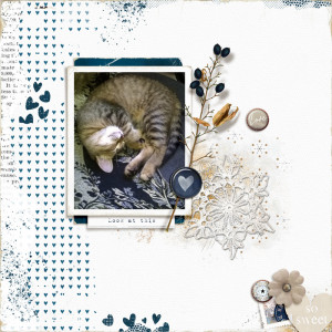 March 2021 Inspiration Challenge