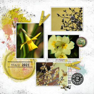 2103_flowers Yellow