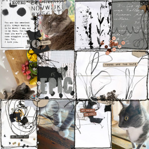 2103-inspiration-gabbi-copy