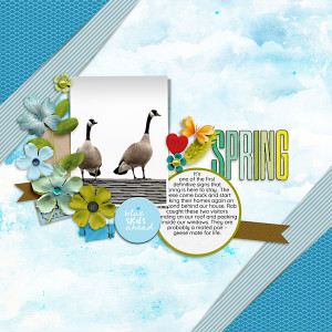Geese-web