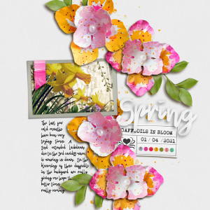 Hope Springs