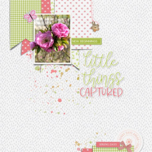 Little Things Captured