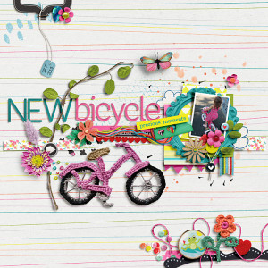 New bicycle