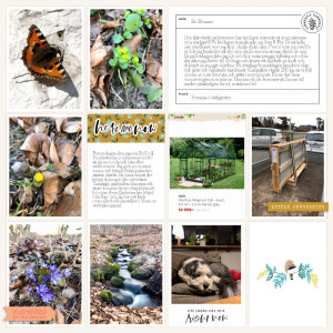 Week 12 2021 b