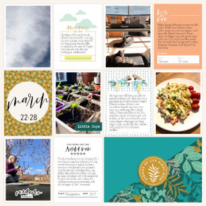 Week 12 2021 a