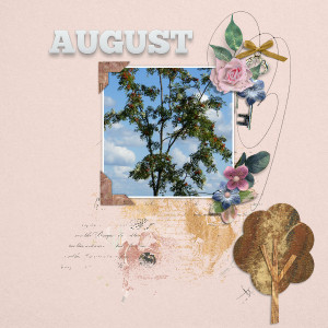 August