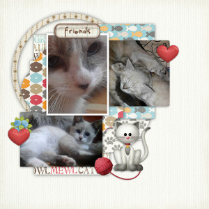 Furbabies