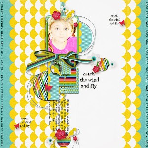 fly