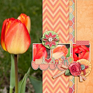 I Love Spring