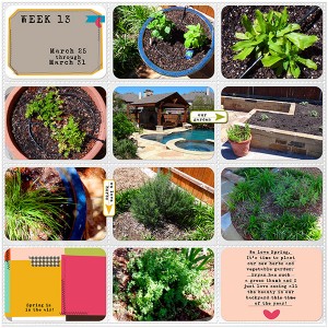 PROJECT LIFE - week 13