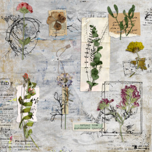 Rachel Jefferies April challenge