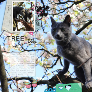 210403_tree Cat