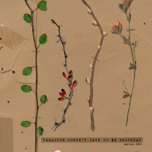 Rachel-Jefferies_2021-04_April_Challenge_Mood-Board_web