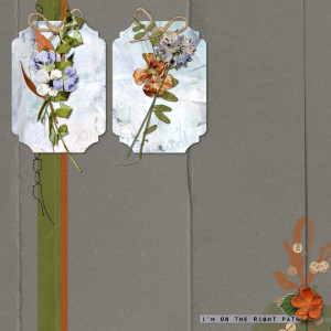 Nature Wall