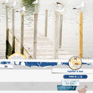Lynn-Grieveson_2021-04-April_SOSN_0407_Bird-Call_Nesting_HotHotHot-TP_web