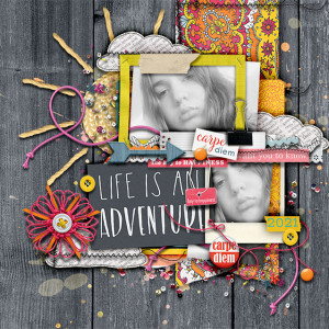 Life is An Adventure : Live It!