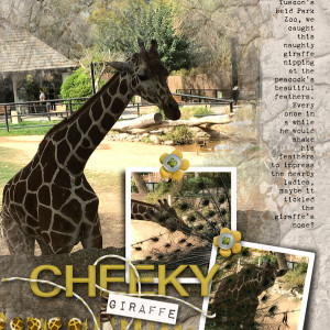 Cheeky Giraffe!