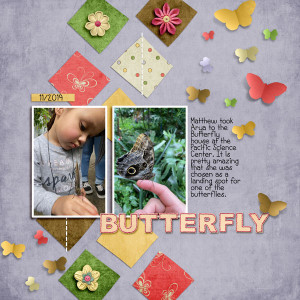 Butterfly2