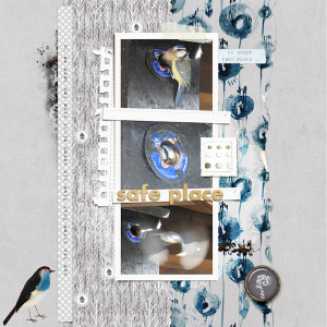 210401_bluetit