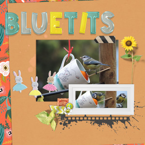 160128_bluetits