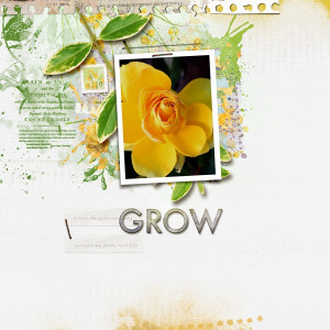 Grow