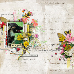 Frolic Amongest the Flowers