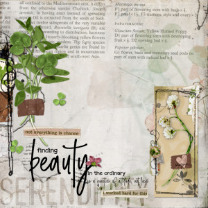 Beauty in the Ordinary