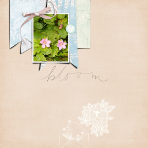 Bloom