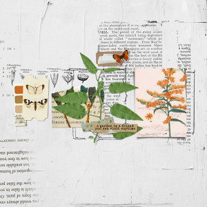 April challenge Rachel Jefferies