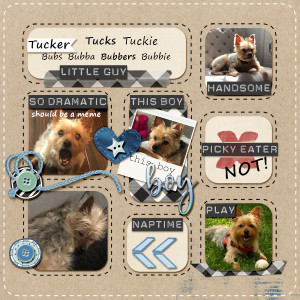 Tucker Boy