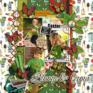 2012-Connor-Bloom-and-Grow