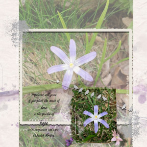 April photography Challenge Hope