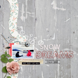 Snow Dreams